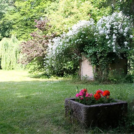 Domaine De Chantemerles פונטנבלו