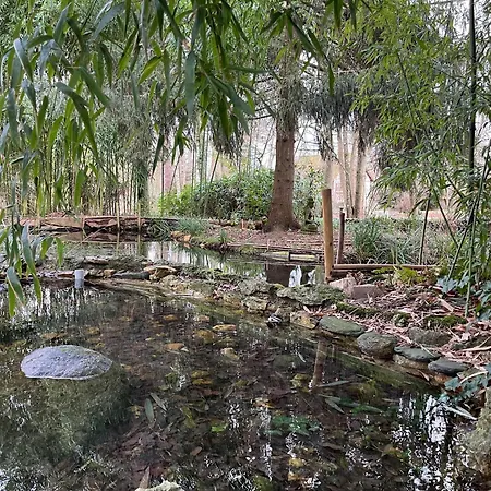 Domaine De Chantemerles פונטנבלו