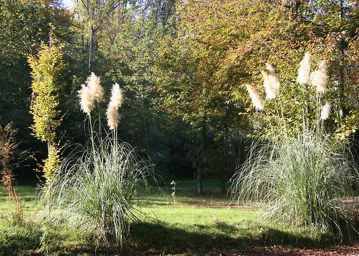 Domaine De Chantemerles * 퐁텐블로